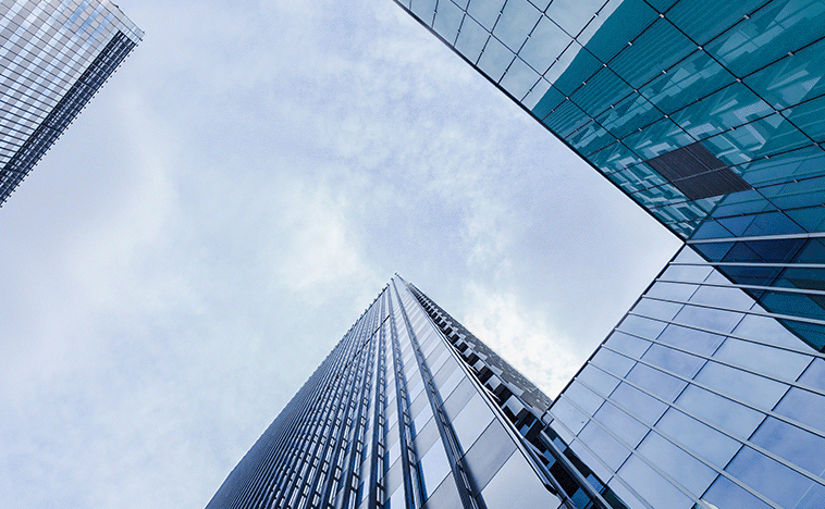 福建好搜信息技术厦门分公司2025年企业搜索营销趋势观察